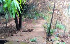 Foto Lote à Venda no Vila São Joaquim