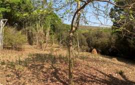 Chácara à Venda no Zona Rural